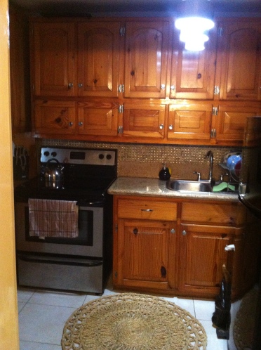 The kitchen is bigger and newer than in the old place. Not a lot of counter space, but as much as I need.