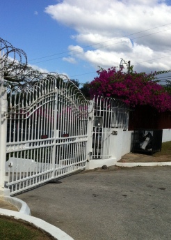 Such a pretty security gate.